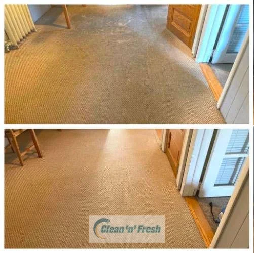 carpet-cleaning-Acworth