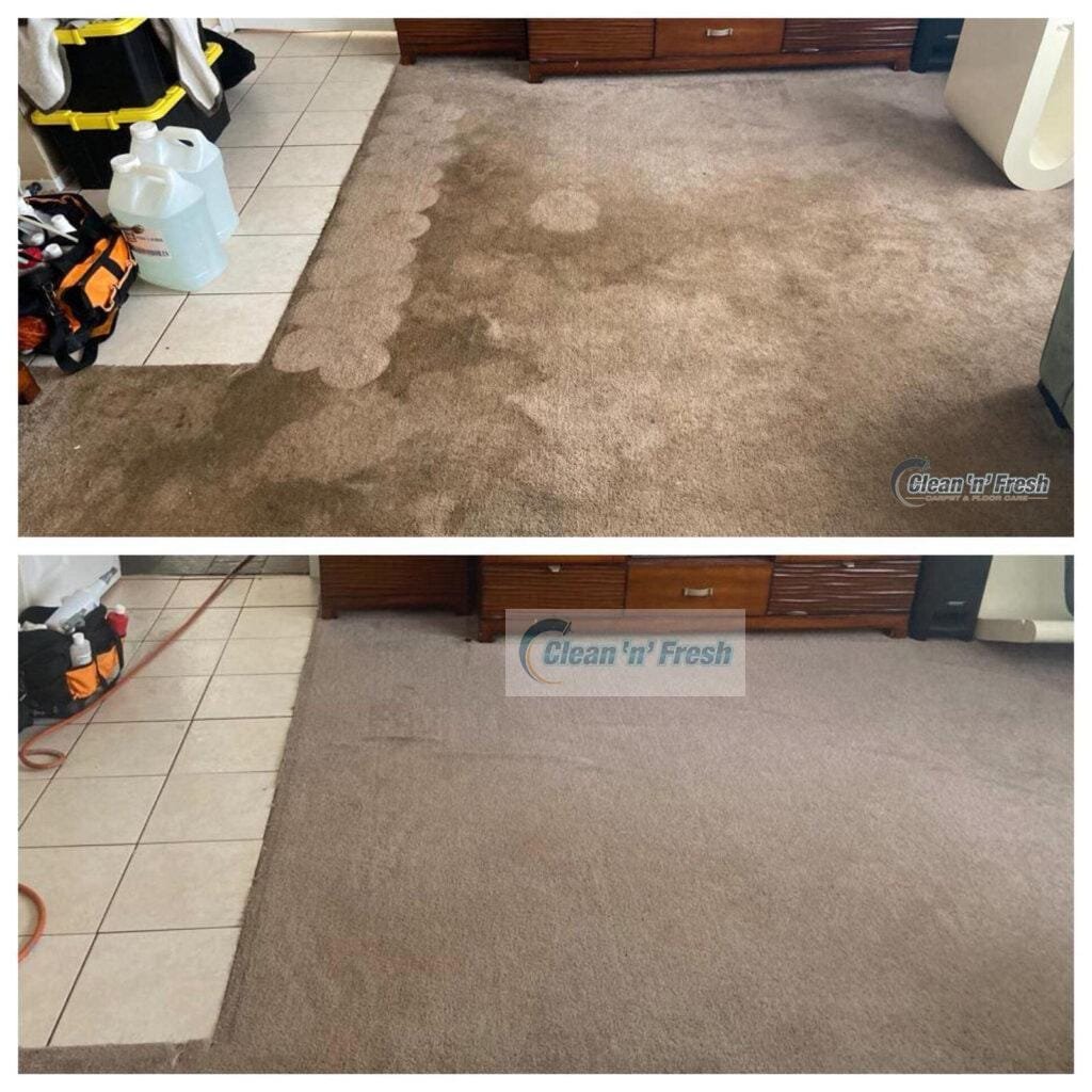 home-carpet-cleaning-long-island